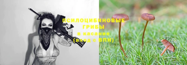 MESCALINE Иннополис