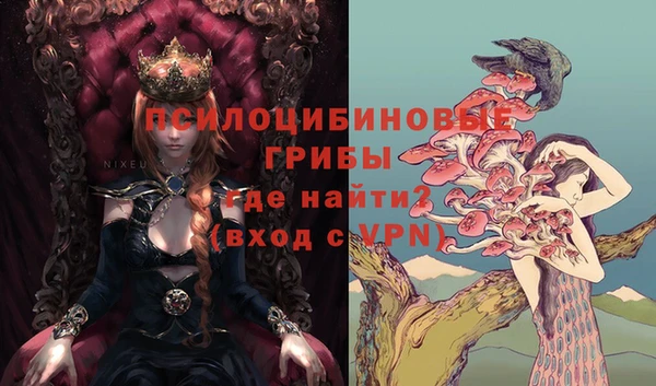 MESCALINE Иннополис